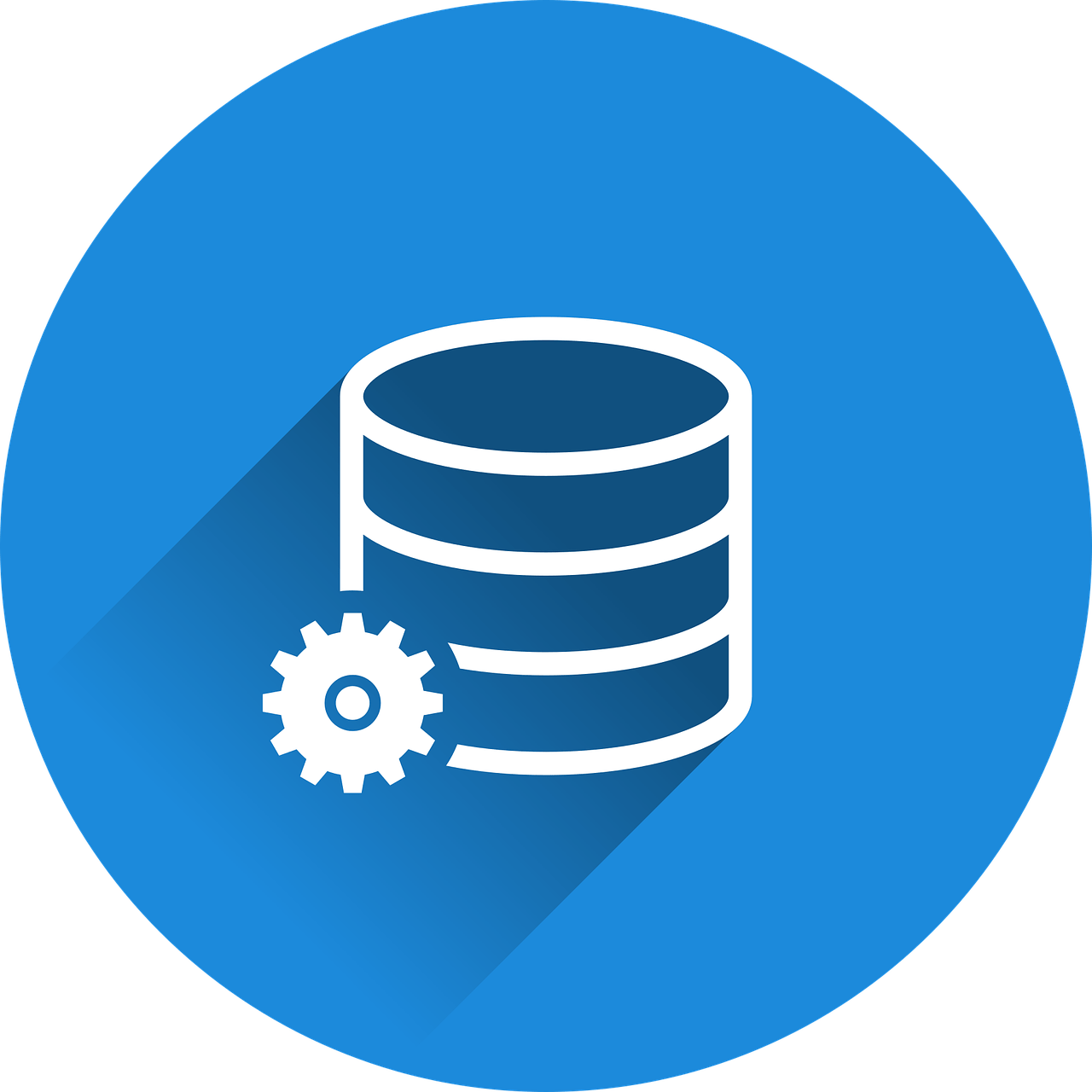 database, manage, administer, management, database, database, database, database, database