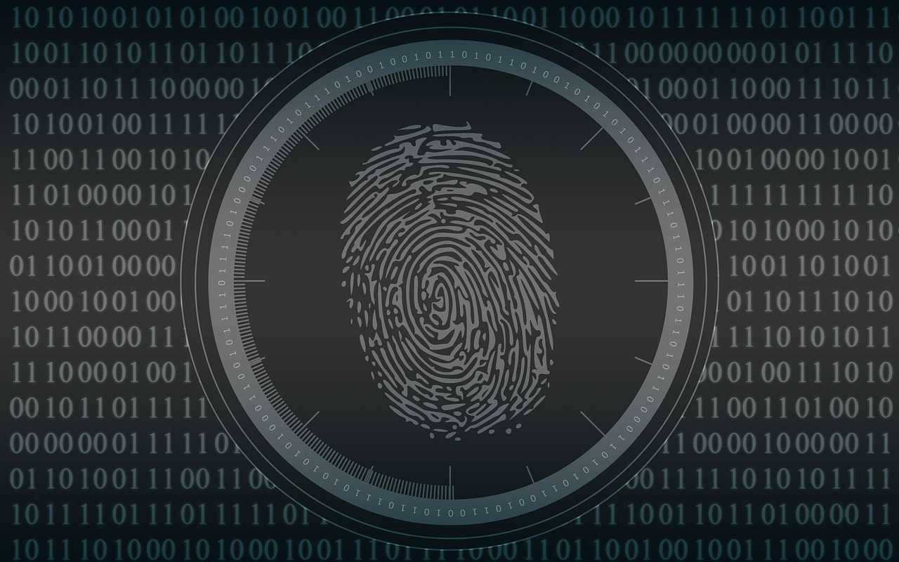 biometrics, fingerprint, security, protection, authentication, biometrics, fingerprint, fingerprint, fingerprint, authentication, authentication, authentication, authentication, authentication